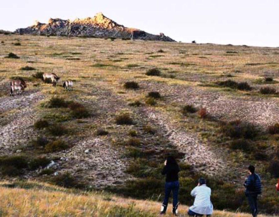 Khustain Nuruu Nationalpark