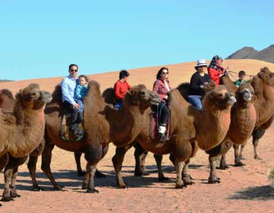 Familienreisen mit Kindern nach Mongolei - Kamelreiten