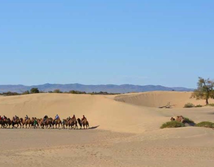Elsen Tasarkhai Sanddünen, Mongolei