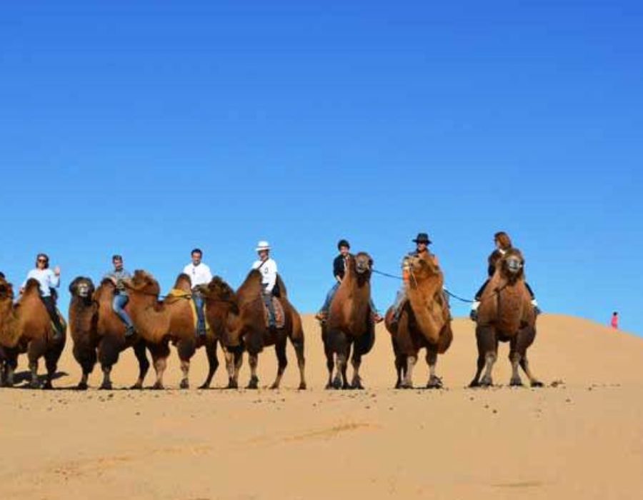 Elsen Tasarkhai Sanddünen, kamelreiten