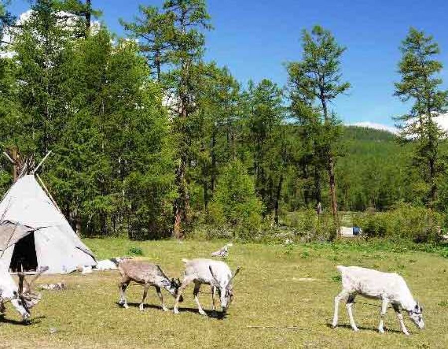 Rentierhirte in Khuvsgul