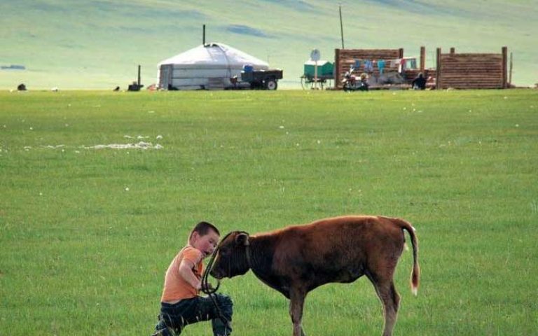 Nomaden der Mongolei