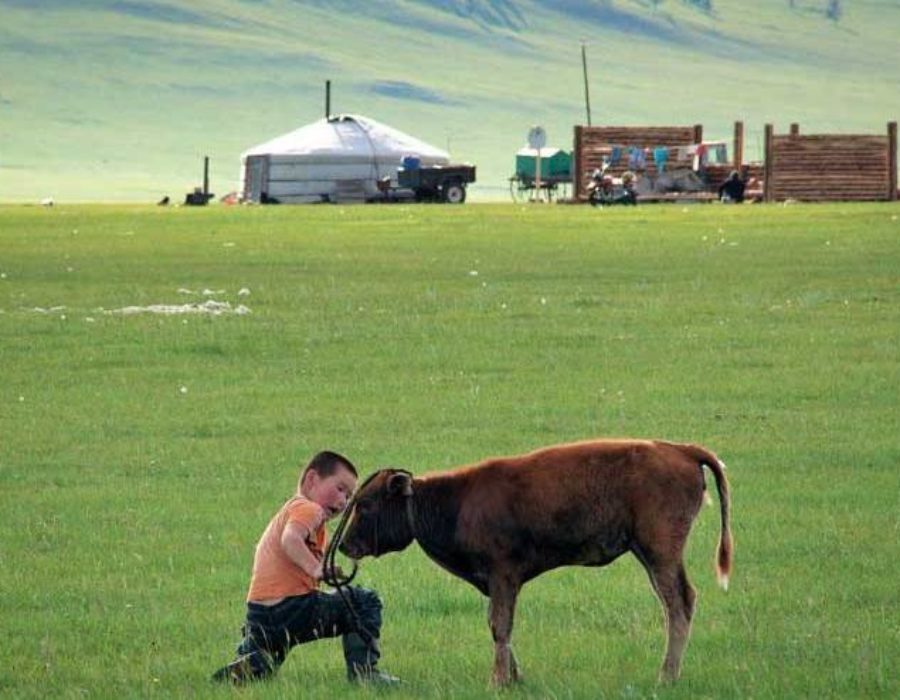 Nomaden der Mongolei