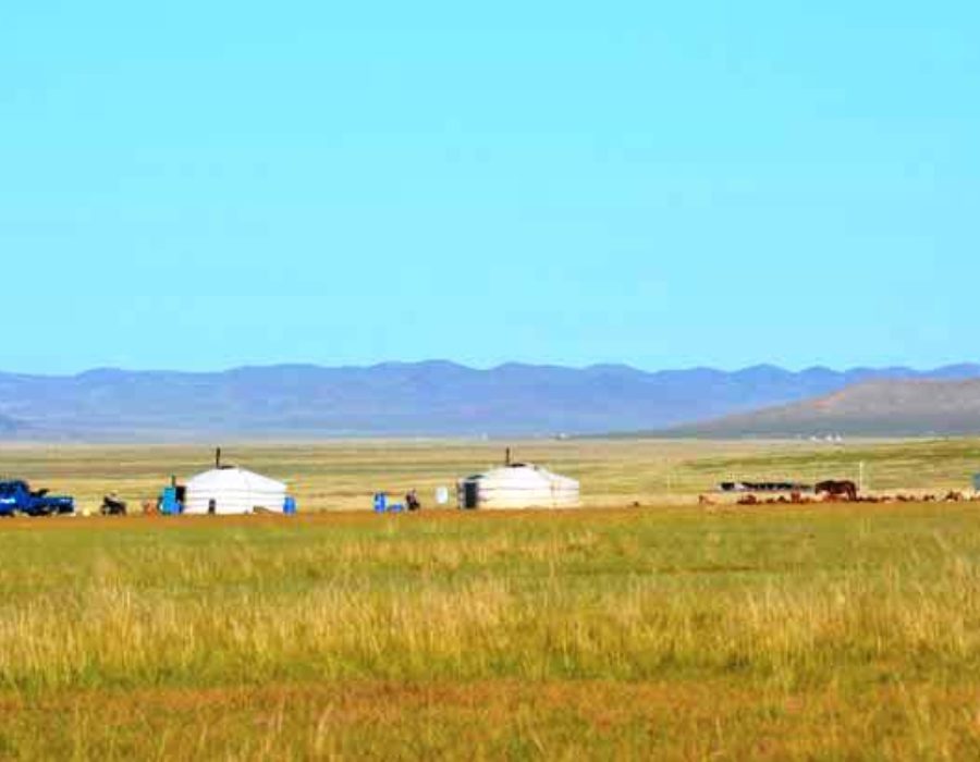Nomaden der Mongolei