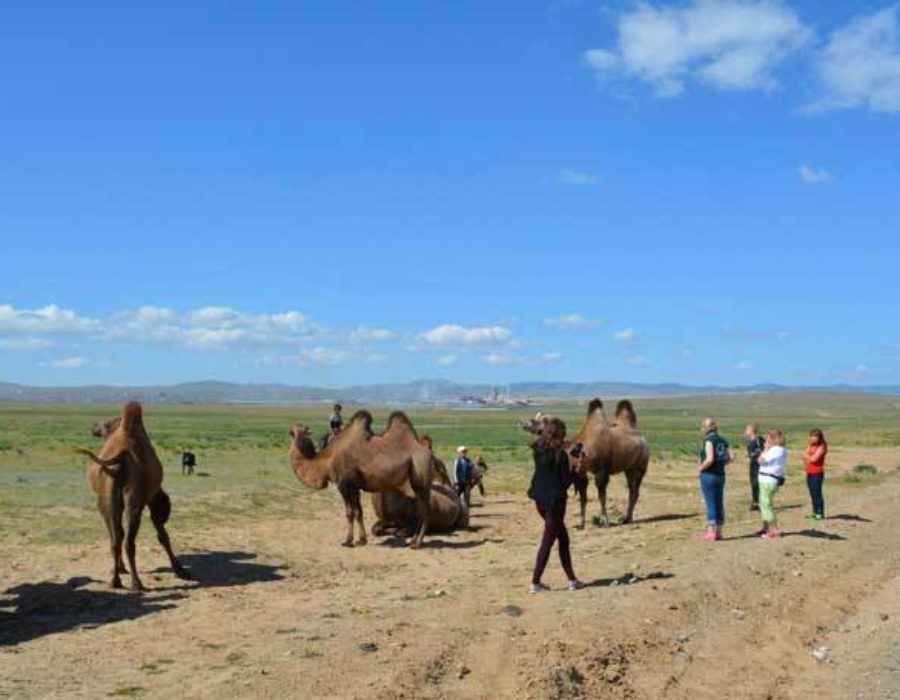 Kamelreiten in Terelj Mongolei