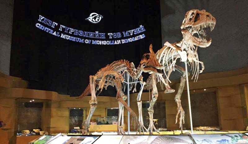 Das Zentralmuseum der mongolischen Dinosaurier
