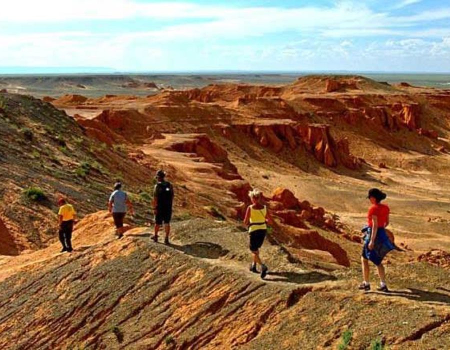 Bajandsag, Wüste Gobi