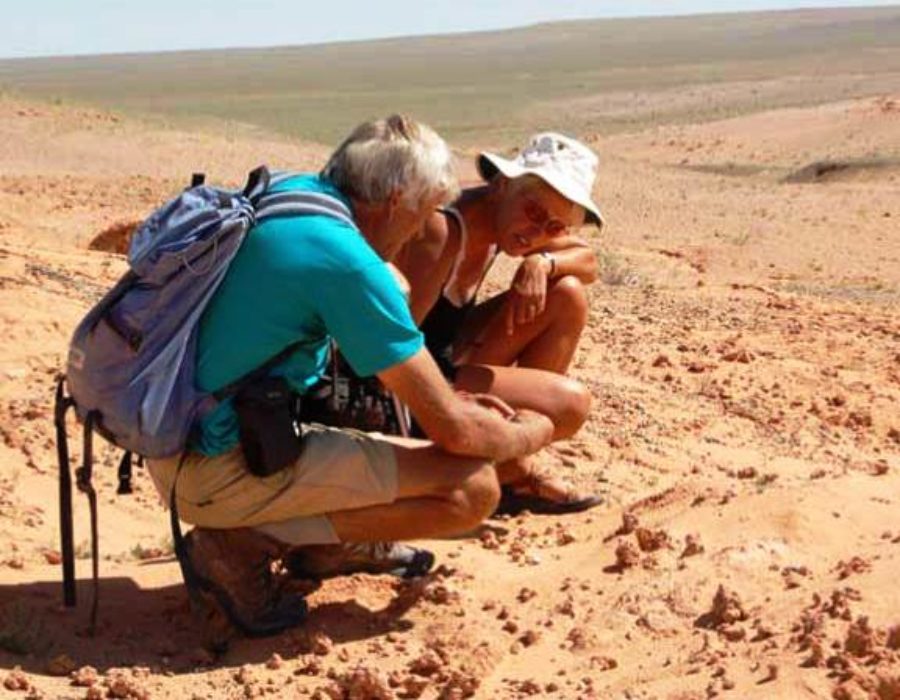 Wandern Bajandsag, Wüste Gobi