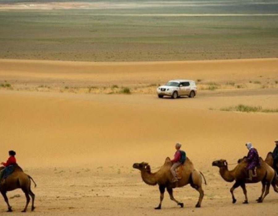 Kamelreiten bei Khongoryn Els n Wüste Gobi
