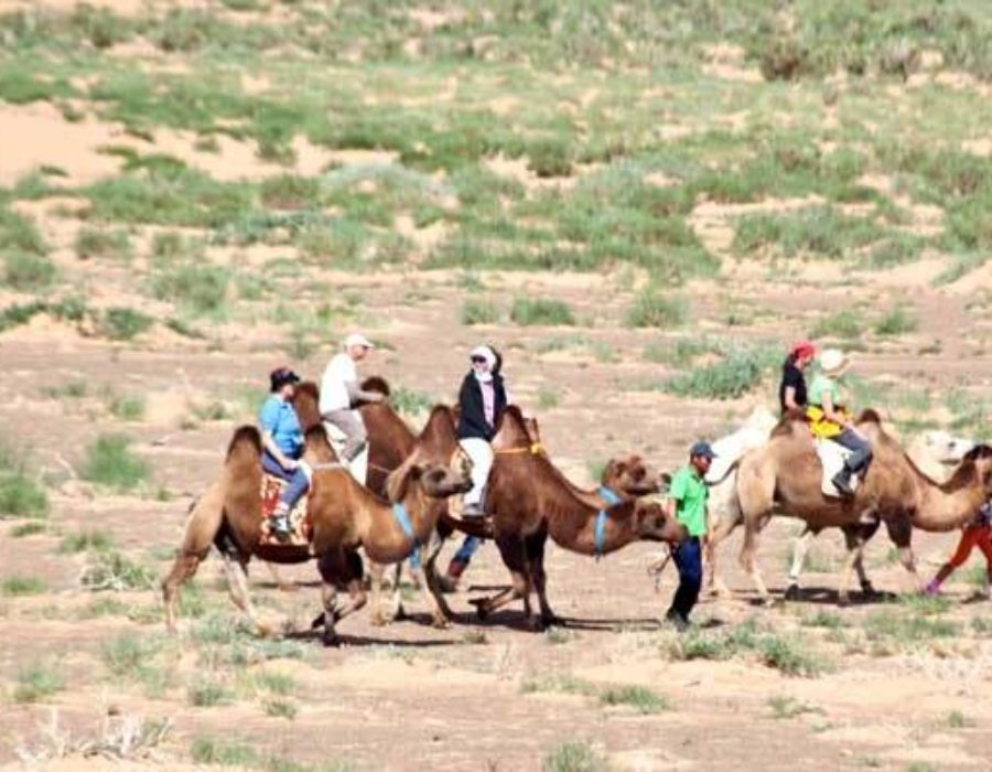 Mongolei tour in Wüste Gobi
