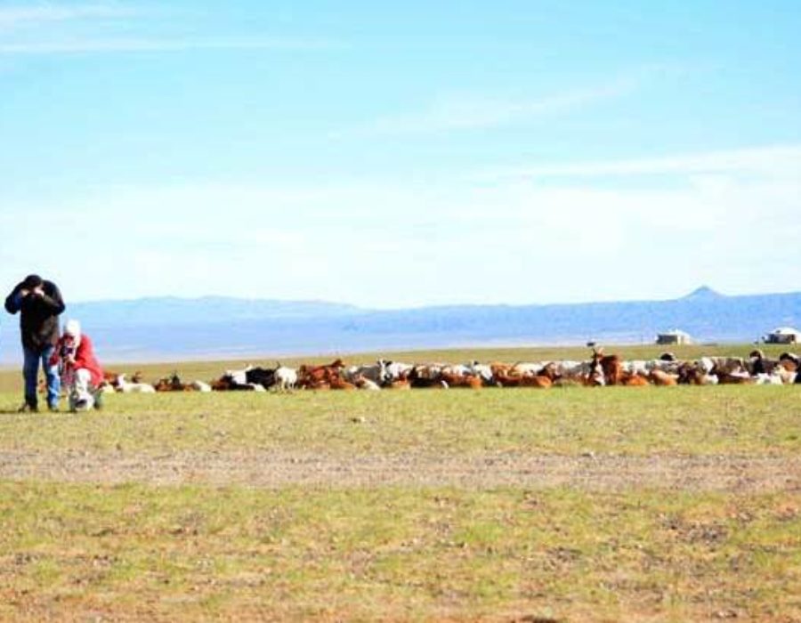 Wüste Gobi reidsen in Mongolei