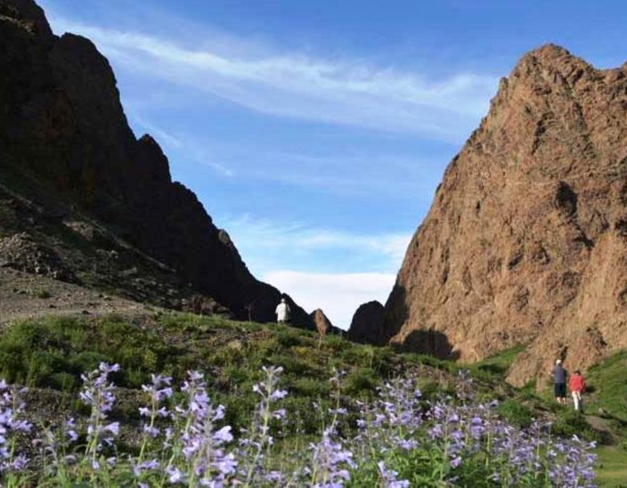 Yolyn Am Schluchten, Wüste Gobi in Mongolei