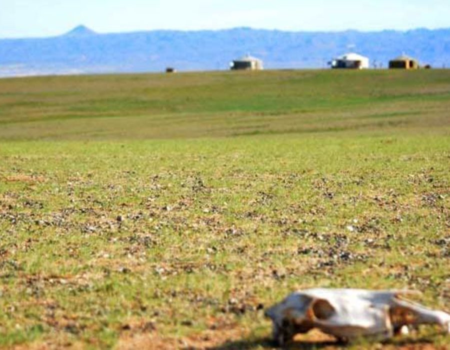 Wüste Gobi tour in Mongolei