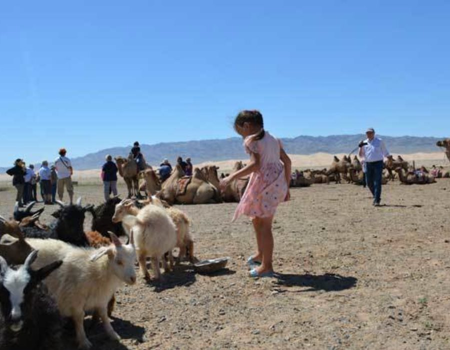 Wüste Gobi reisen in Mongolei