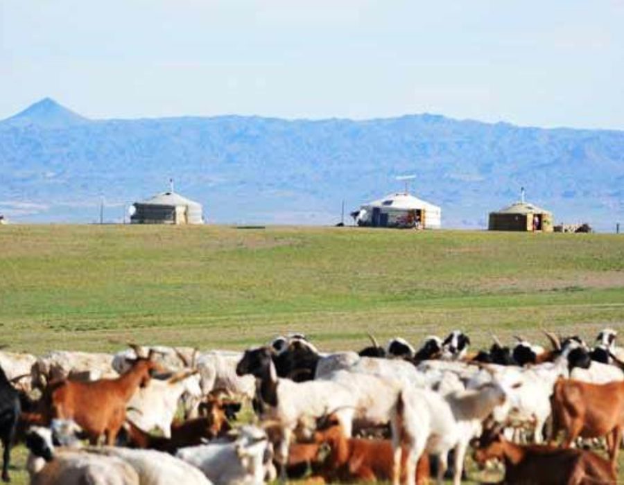 Nomaden in Wüste Gobi, Mongolei