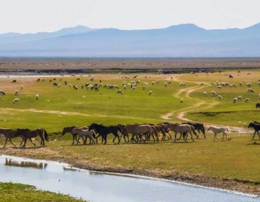 Mongolei Reisen, Urlaub, Reiseführer