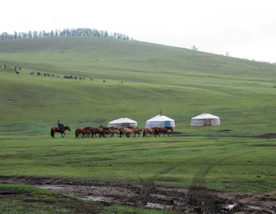 Nomaden der Mongolei
