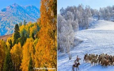 DIE MONGOLEI UND DIE VIER JAHRESZEITEN