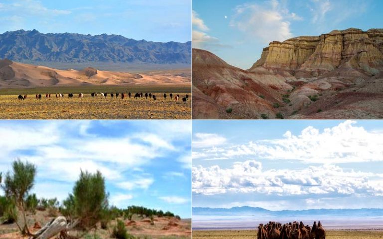 DIE GOBI WÜSTE