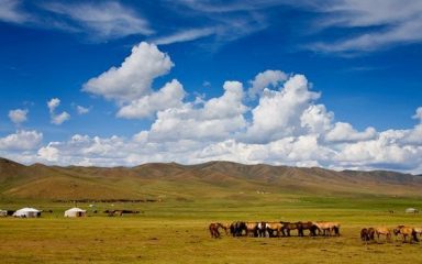 MONGOLEI REISETIPPS
