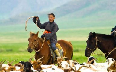 Mongolei Reisen Amicus Mongolei Reiseveranstalter