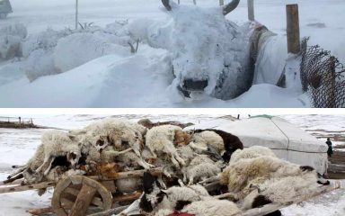 Gibt es in der Mongolei Naturkatastrophen?