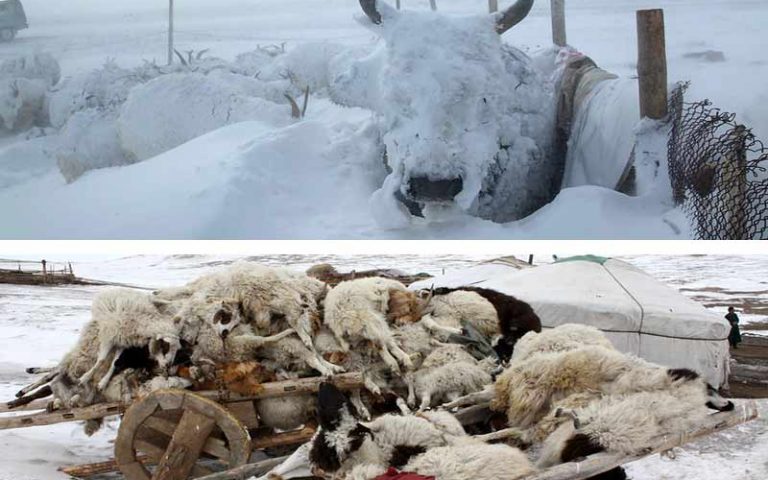 Gibt es in der Mongolei Naturkatastrophen?
