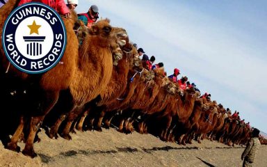 Top 5 Guinness-Weltrekord der Mongolei