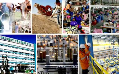 Was ist die wichtigste Industrie in der Mongolei?
