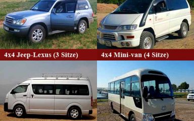 Reise-Fahrzeuge in der Mongolei