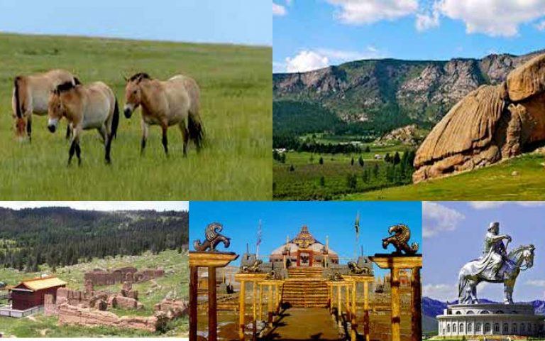 Aktivitäten in der Mongolei für 1 Tag
