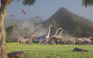 Liste der in der Mongolei gefundenen Dinosaurier